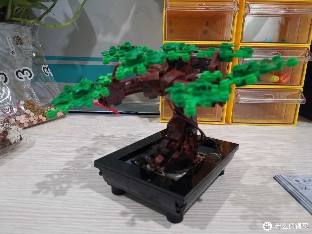 LEGO 花草植物系列 10281 盆景盆栽 评测