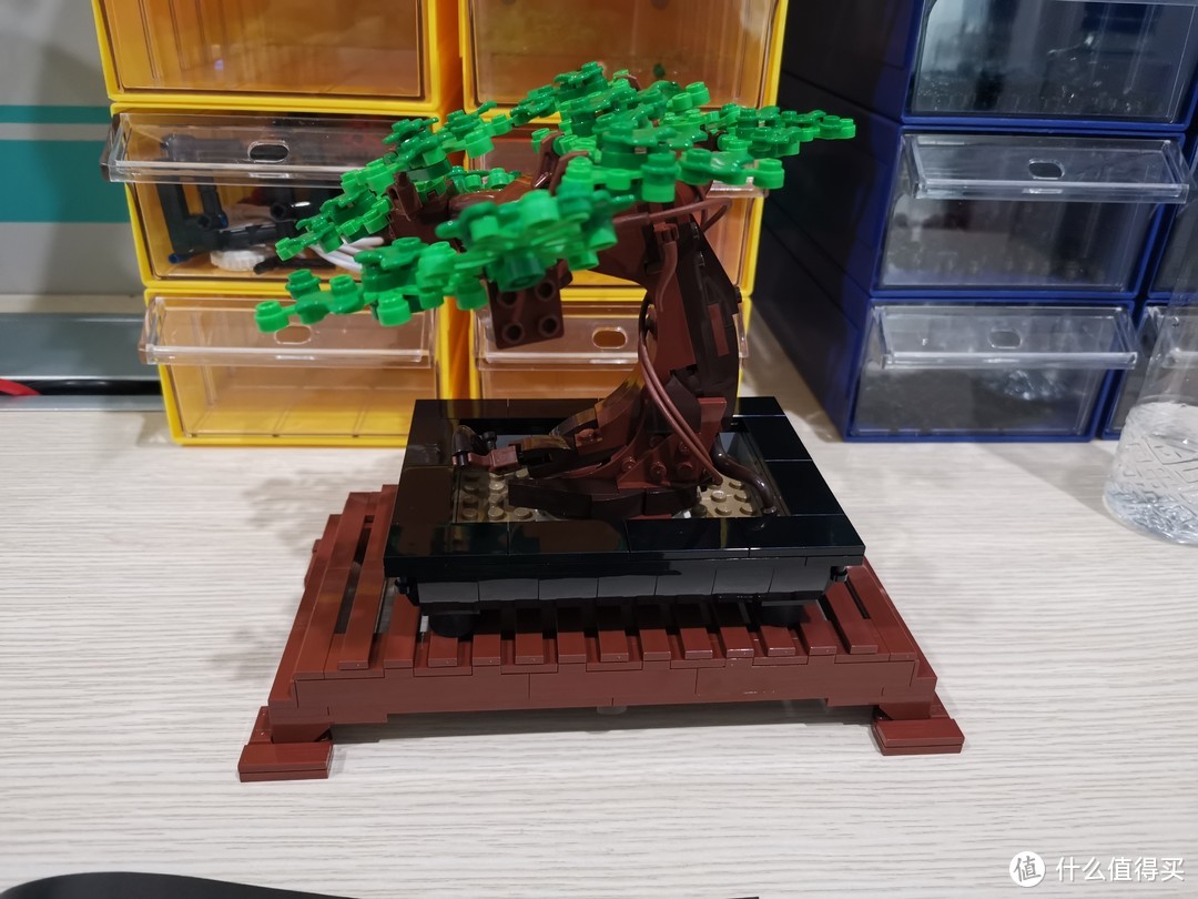 LEGO 花草植物系列 10281 盆景盆栽 评测