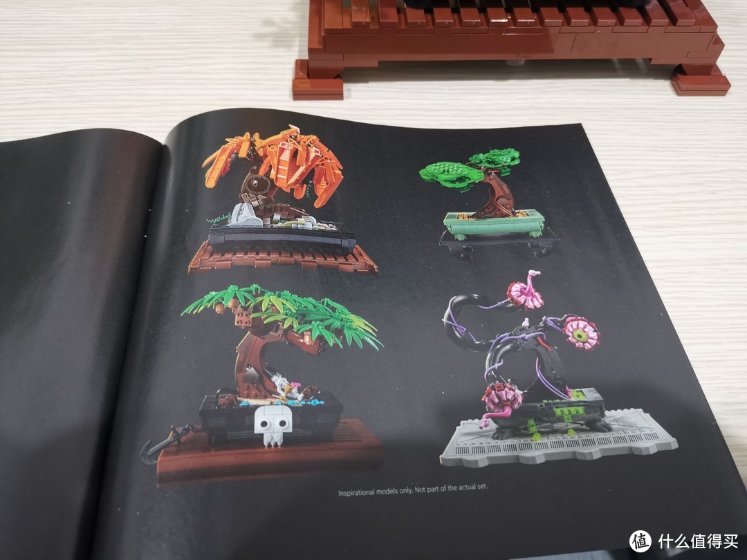 LEGO 花草植物系列 10281 盆景盆栽 评测