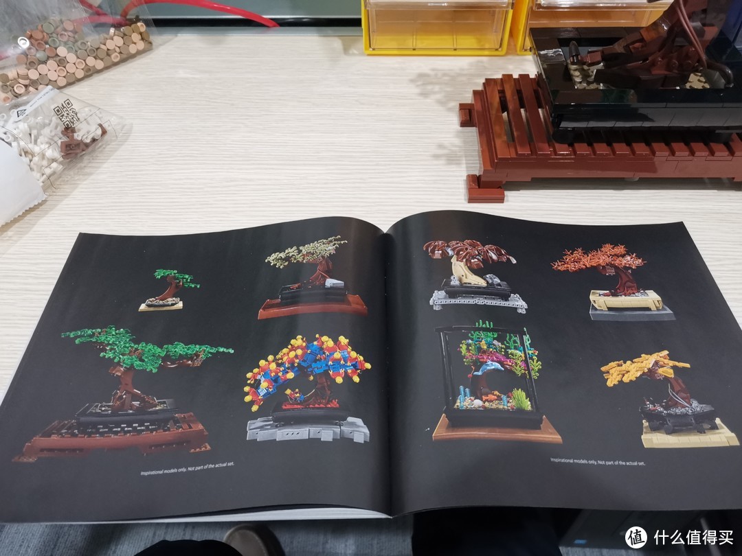 LEGO 花草植物系列 10281 盆景盆栽 评测