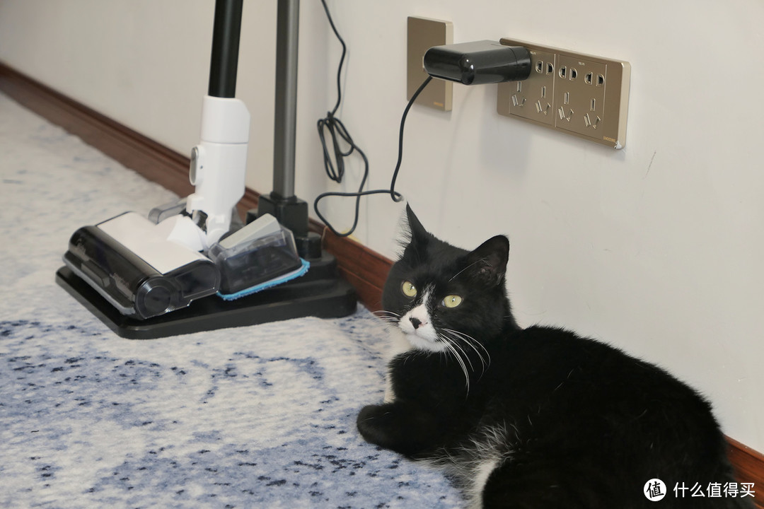 无惧猫毛舒心撸猫，还能轻松实现全屋清洁，你需要一台美的智能无线吸尘器Z7