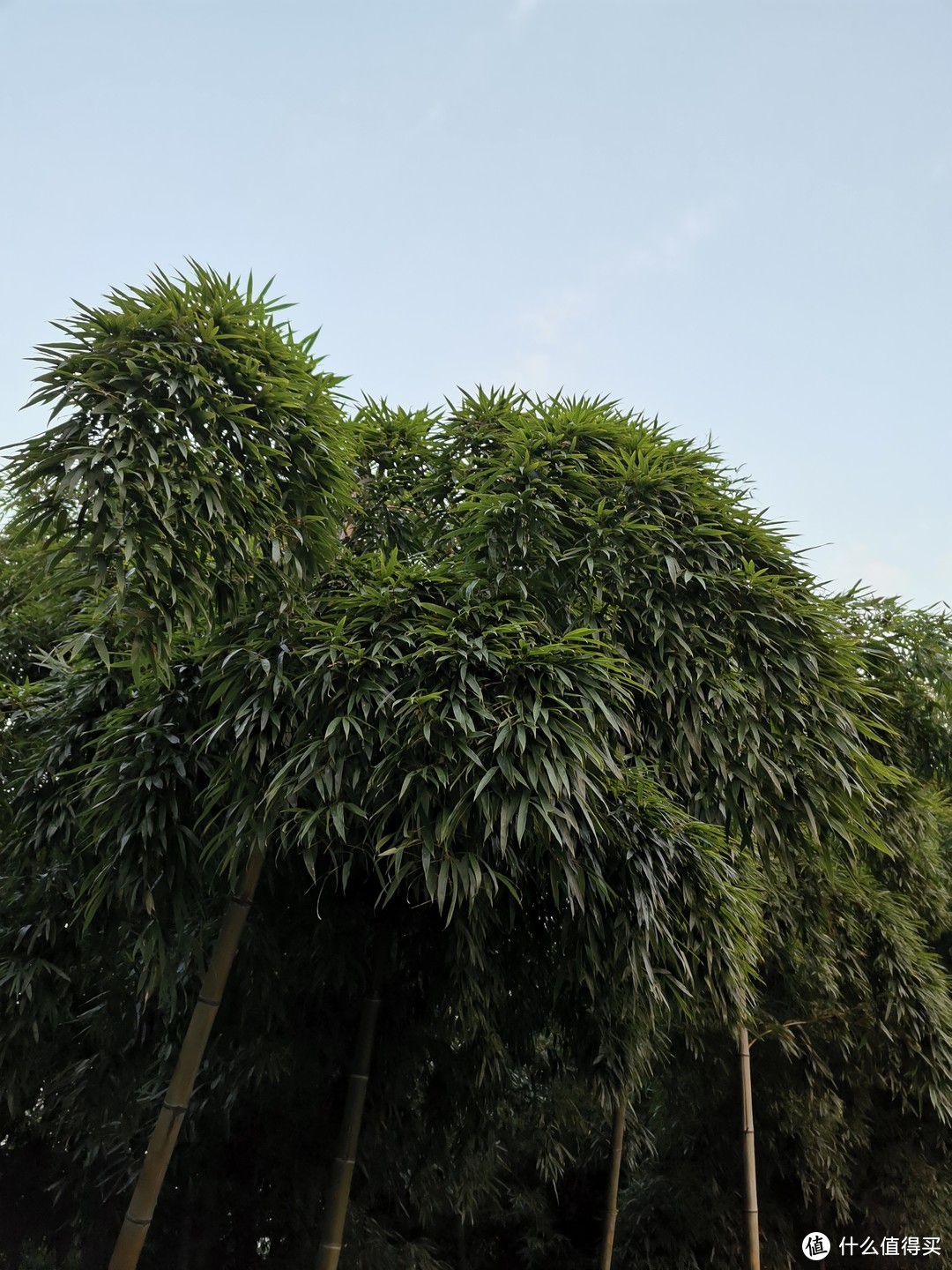 湖州周边遛娃推荐--山野，农庄，动物园