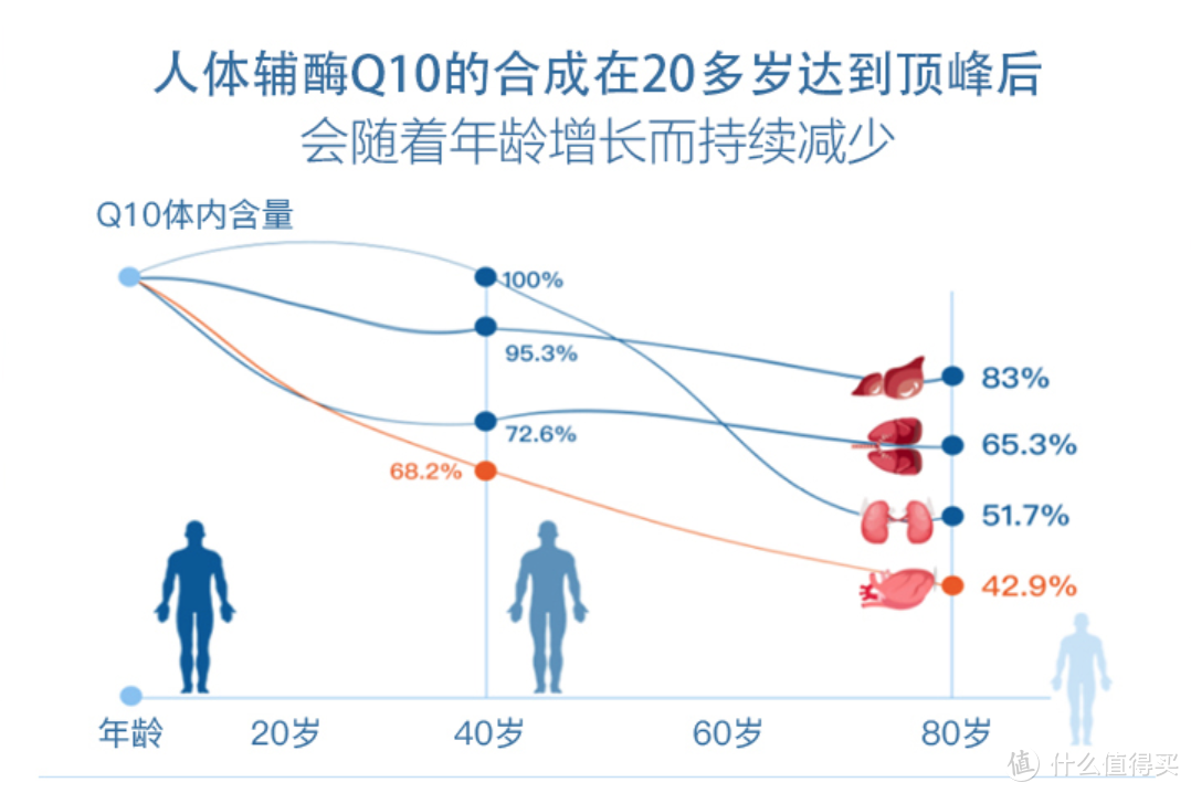 压力那么大，年轻人你护心了么？适合年轻人的保健品清单