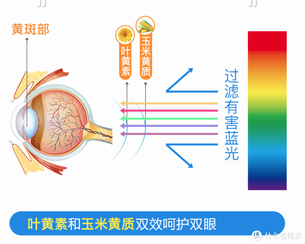 压力那么大，年轻人你护心了么？适合年轻人的保健品清单