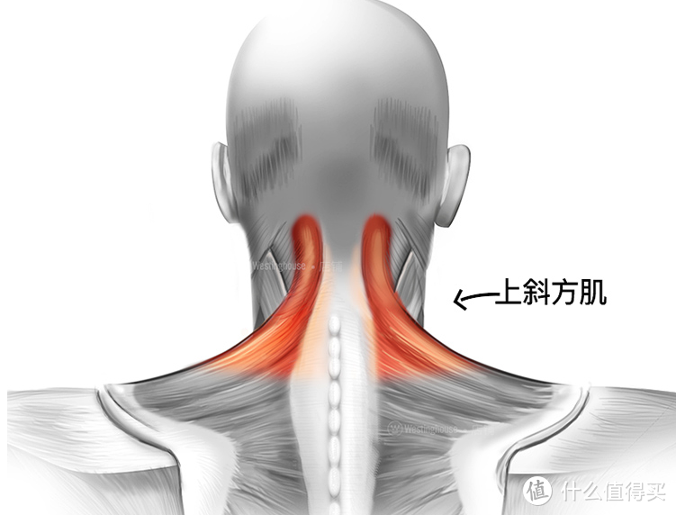 模仿双手物理按摩，缓解颈部疲劳，西屋颈部按摩仪体验