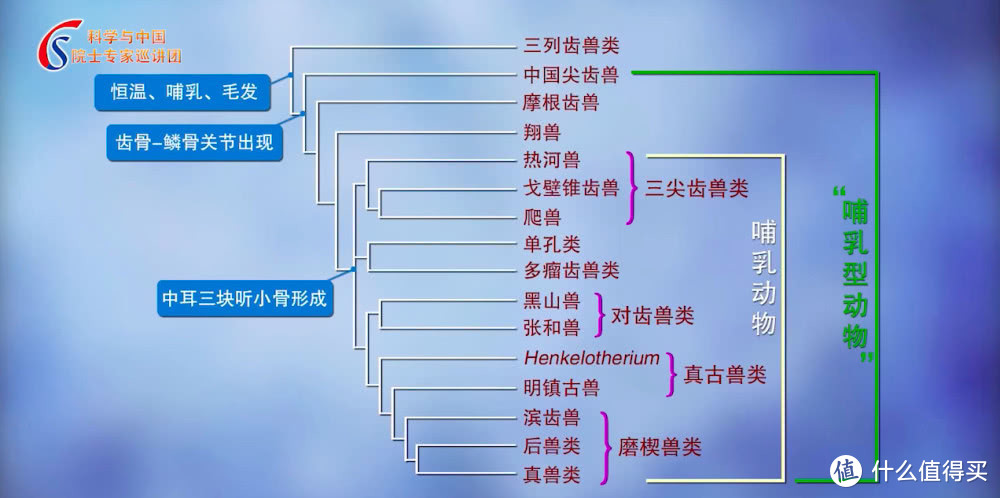 金装DK儿童启蒙读物