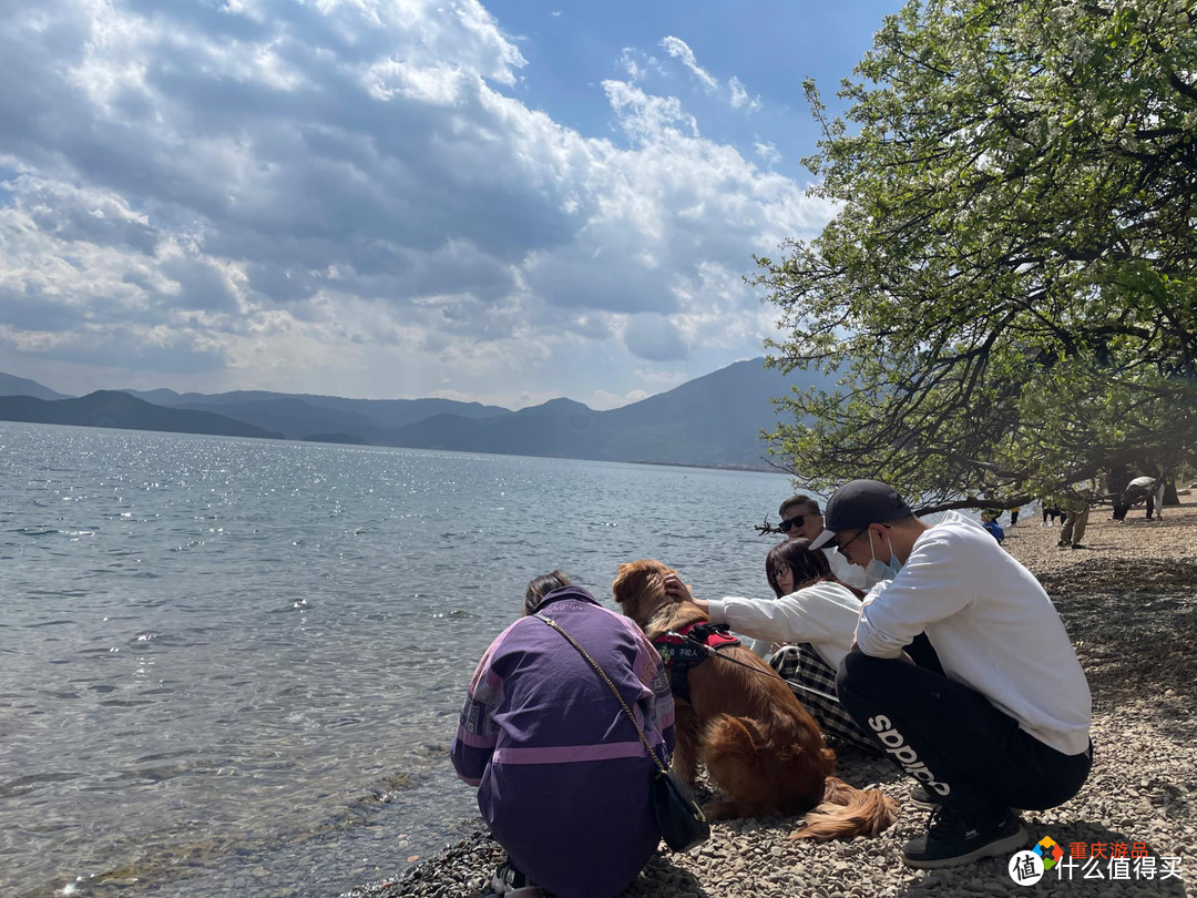 重庆小两口环游中国：遗憾错过女神湾，在洛水码头快要被吹感冒