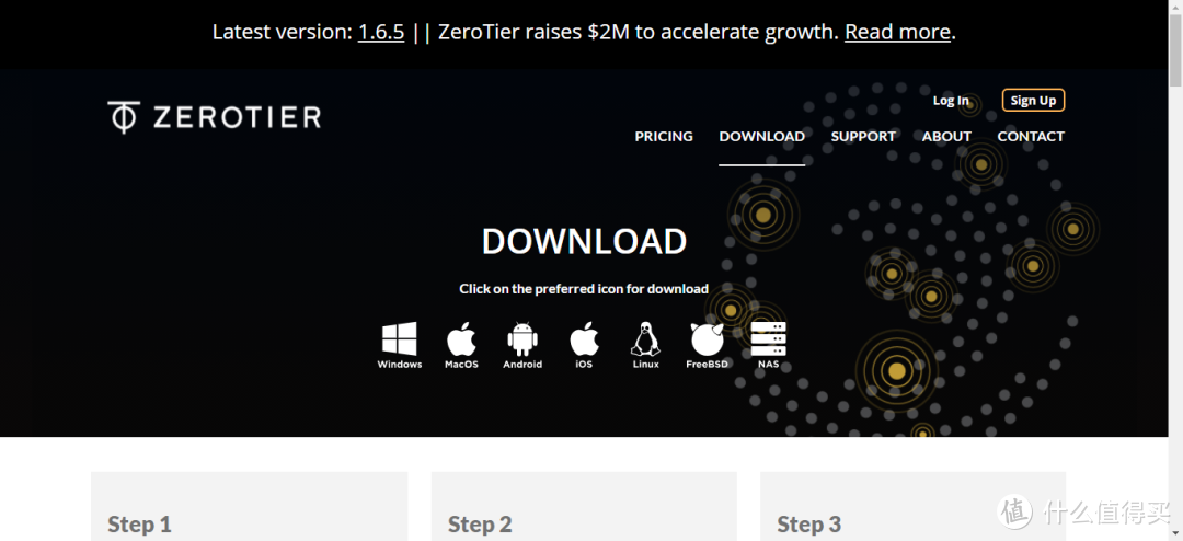 UNRAID一篇就够！Zerotier内网穿透，随时访问NAS