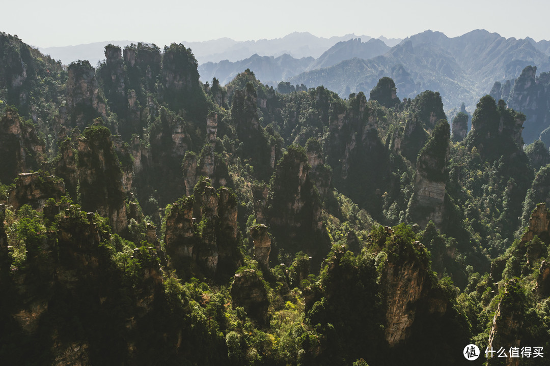 密密麻麻的山柱