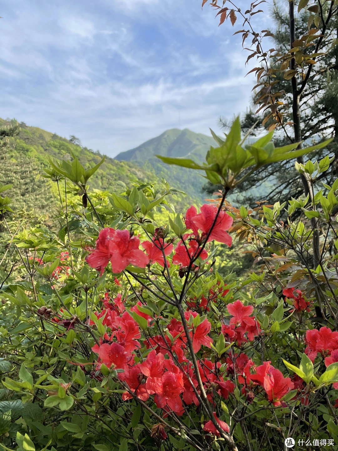 老年人徒步：五一武功山反穿——二刷虽然还是没看到云海，但让我见识了管理稀碎的武功山