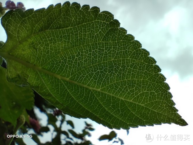 OPPO对K套装评测：让年轻人体验智慧互联的双倍快乐