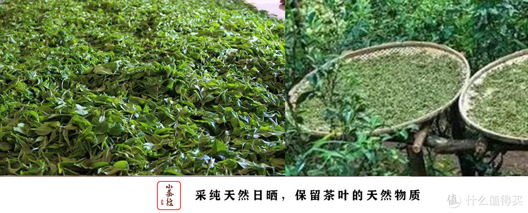 普洱新嘴看过来 17个点带你初步认识普洱茶