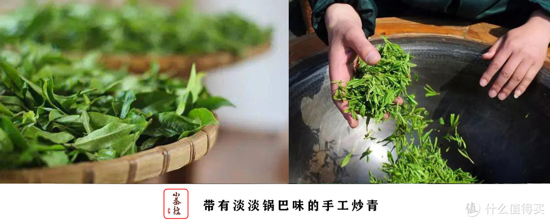 普洱新嘴看过来 17个点带你初步认识普洱茶