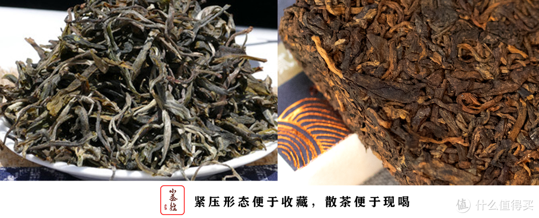 普洱新嘴看过来 17个点带你初步认识普洱茶