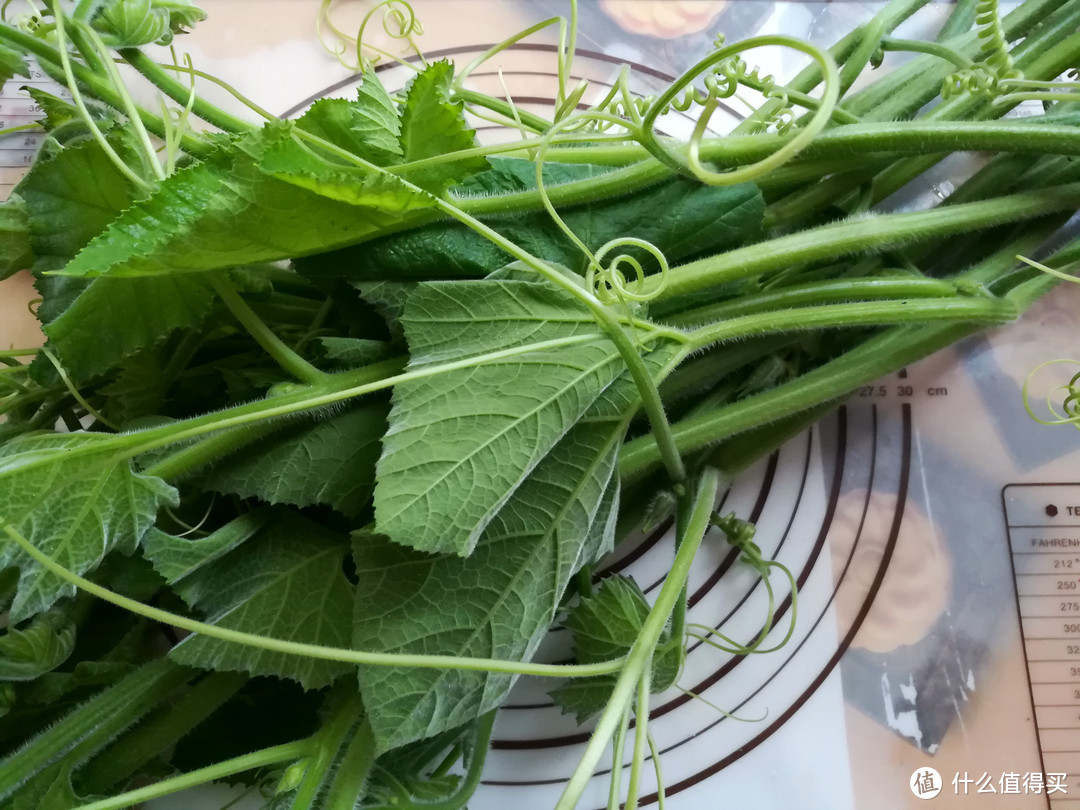 北方的喂猪菜，却是南方人爱吃的“长寿菜”，简单一炒比肉还好吃