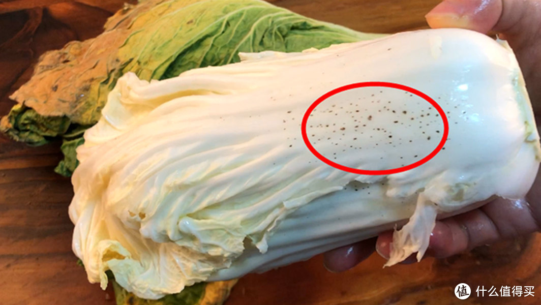 很多人不知道白菜上的黑点是什么？这种还能吃吗？