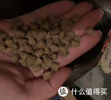 “这不是老年犬吃的口粮！低蛋白高淀粉不消化！”老年组靠谱犬粮，这次真的来啦！！