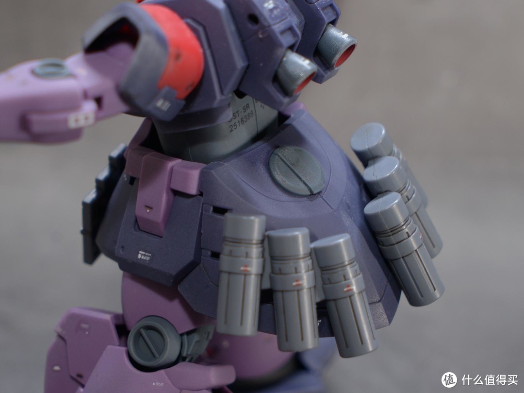 BANDAI ROBOT 魂 MS-09F TROP ANIME 大魔热带型