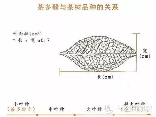 图片来自网络，侵删