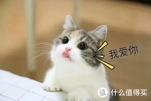 猫吃维生素究竟好不好？