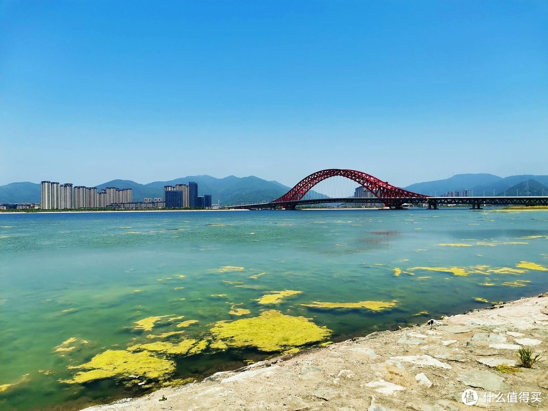 网红打卡地-宁波北仑梅山湾花海-周末的好去处