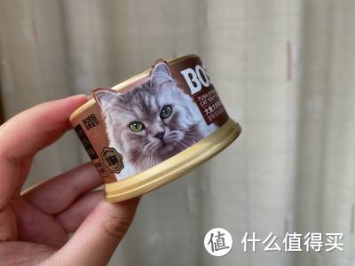 孕猫吃什么牌子罐头好？口碑比较好的猫罐头推荐