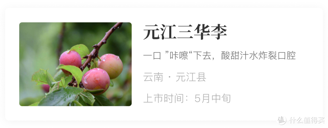 风物日历5.22｜这种青芒果竟然是海南的“热带果王”