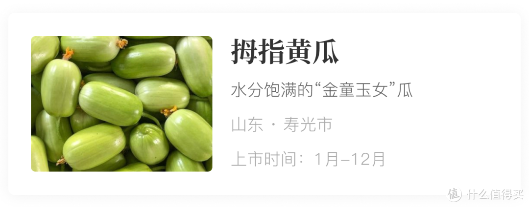 风物日历5.25｜来自“宇宙寿光”的拇指黄瓜有多好吃？