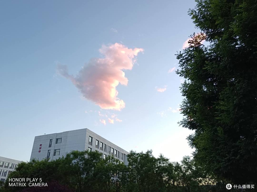 傍晚拍照可以看到即使是在光线较暗的情况下,荣耀play5也可以较好的