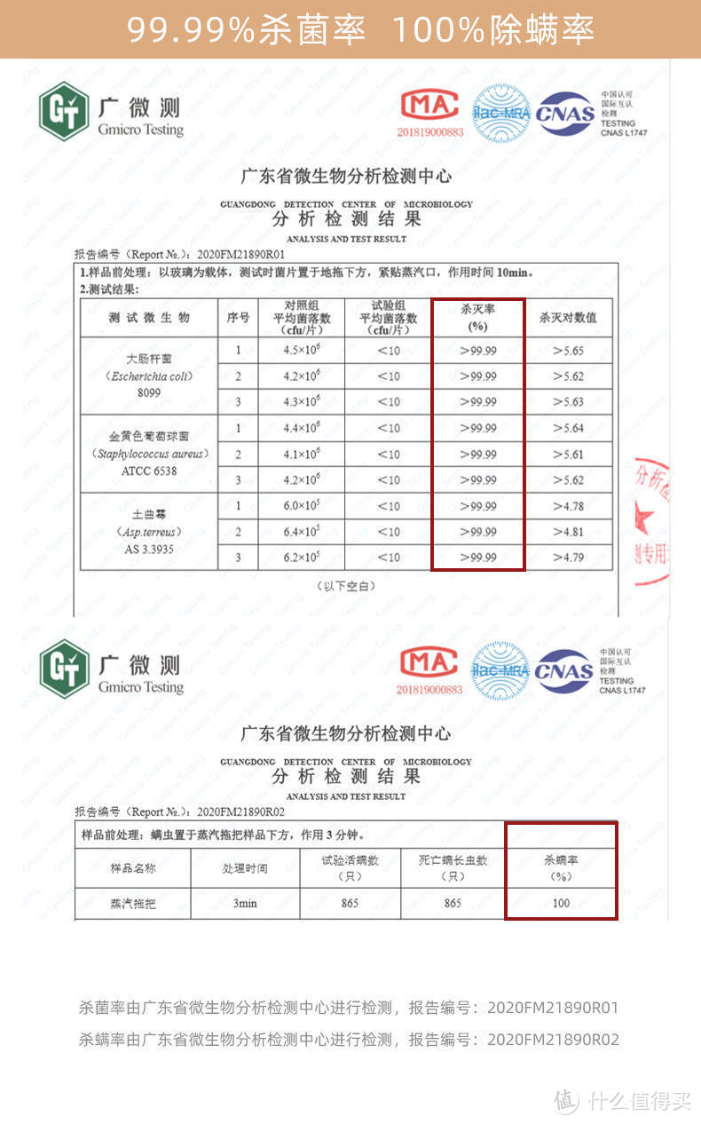 智商税还是清洁神器？S5蒸汽拖把体验评测