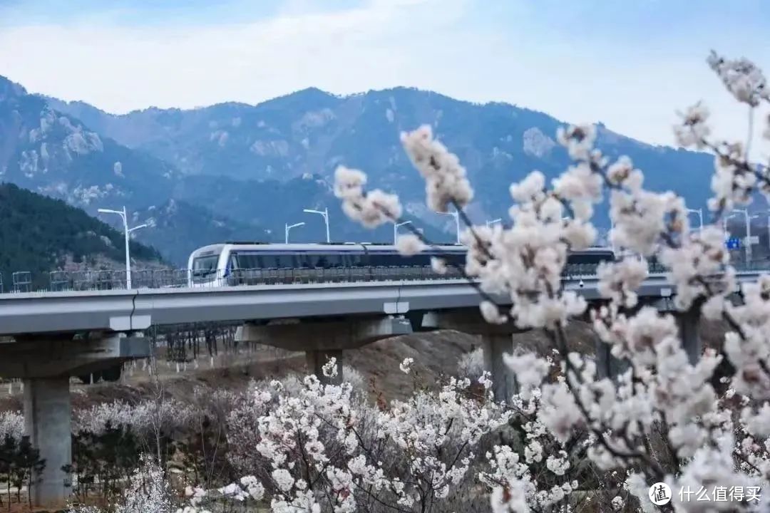 青岛海上「第一仙山」的新玩法