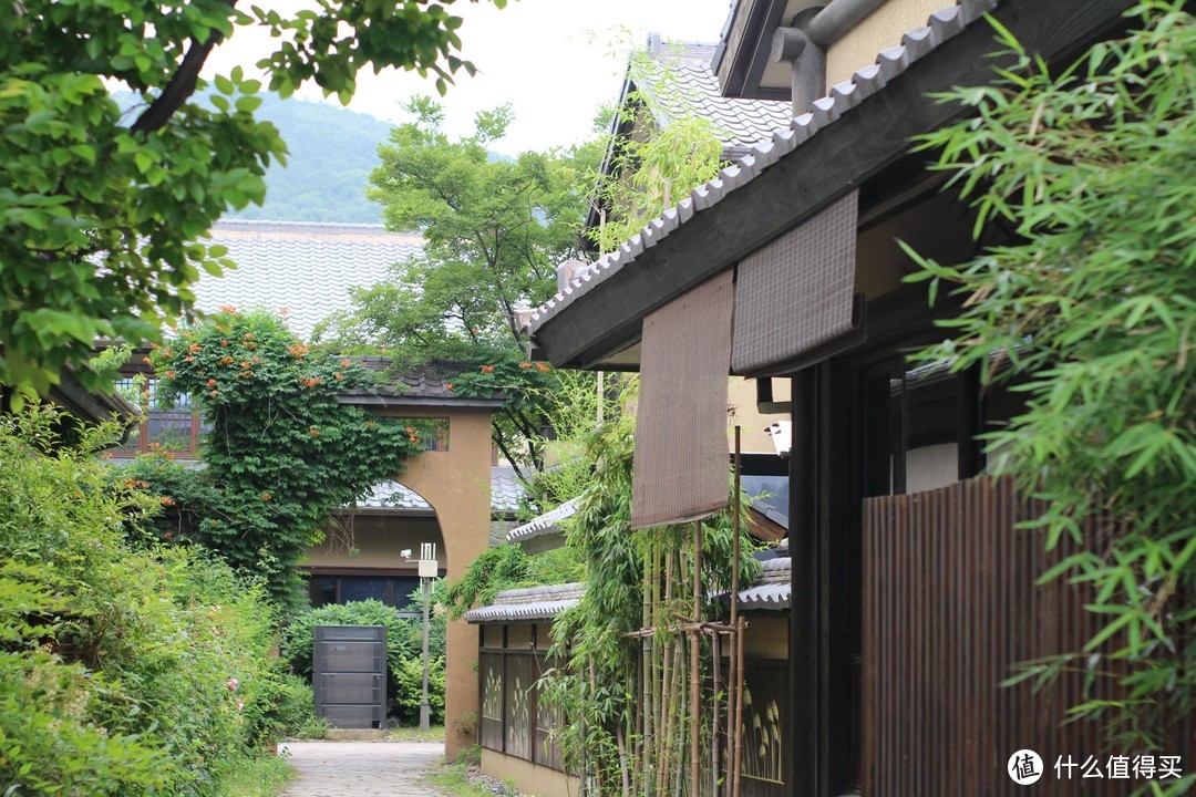 疫情期间，我居然跑去了京都，北海道，白川乡