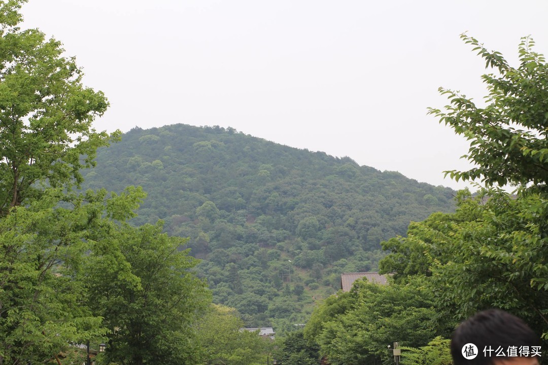 疫情期间，我居然跑去了京都，北海道，白川乡