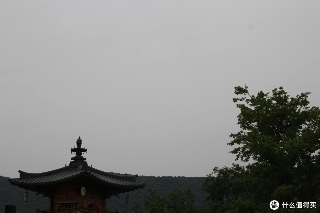 疫情期间，我居然跑去了京都，北海道，白川乡
