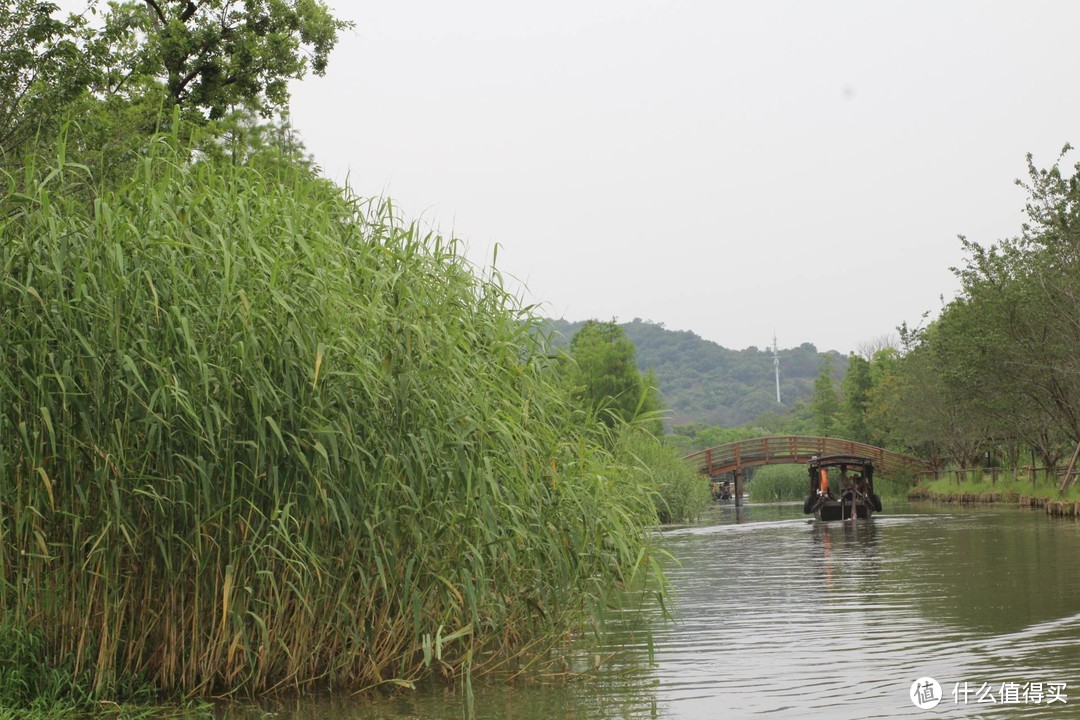 疫情期间，我居然跑去了京都，北海道，白川乡