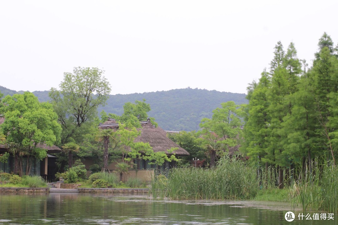 疫情期间，我居然跑去了京都，北海道，白川乡