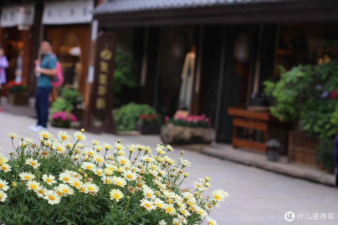 疫情期间，我居然跑去了京都，北海道，白川乡