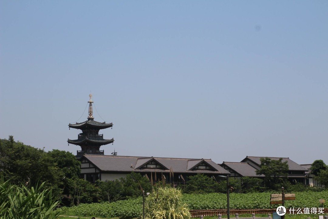 疫情期间，我居然跑去了京都，北海道，白川乡