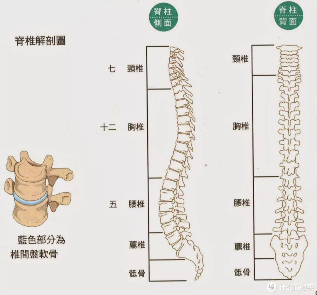 躺平是最好的休息？一把能坐能躺的人体工学椅