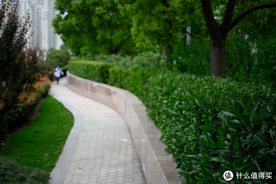 尼康50mm f/2.8首发评测：多用途微距镜头 它能胜任么？