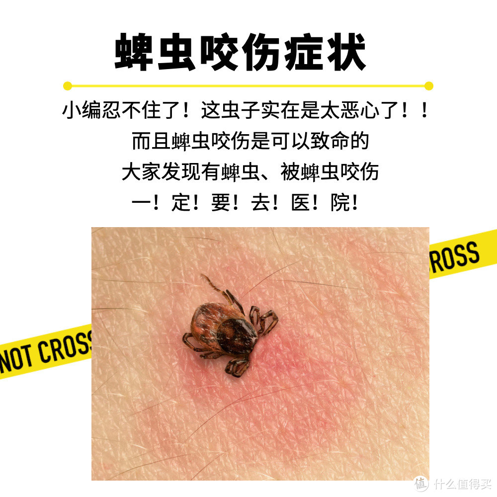 一图教你分辨，夏天常见红点/皮疹都是啥蚊虫咬的？这4种情况，千万不要拍打！（附护理指南）