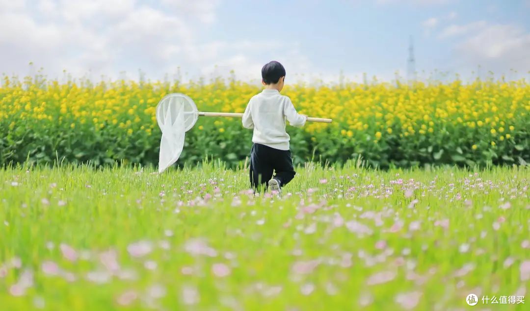 捉蝴蝶的小男孩 08图虫创意