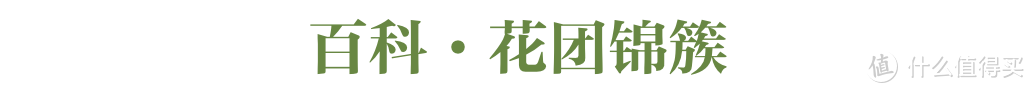 麦黄梅熟，在悠悠夏日“芒”里偷闲