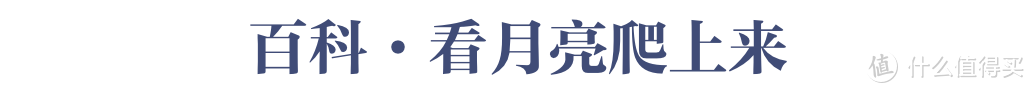 麦黄梅熟，在悠悠夏日“芒”里偷闲