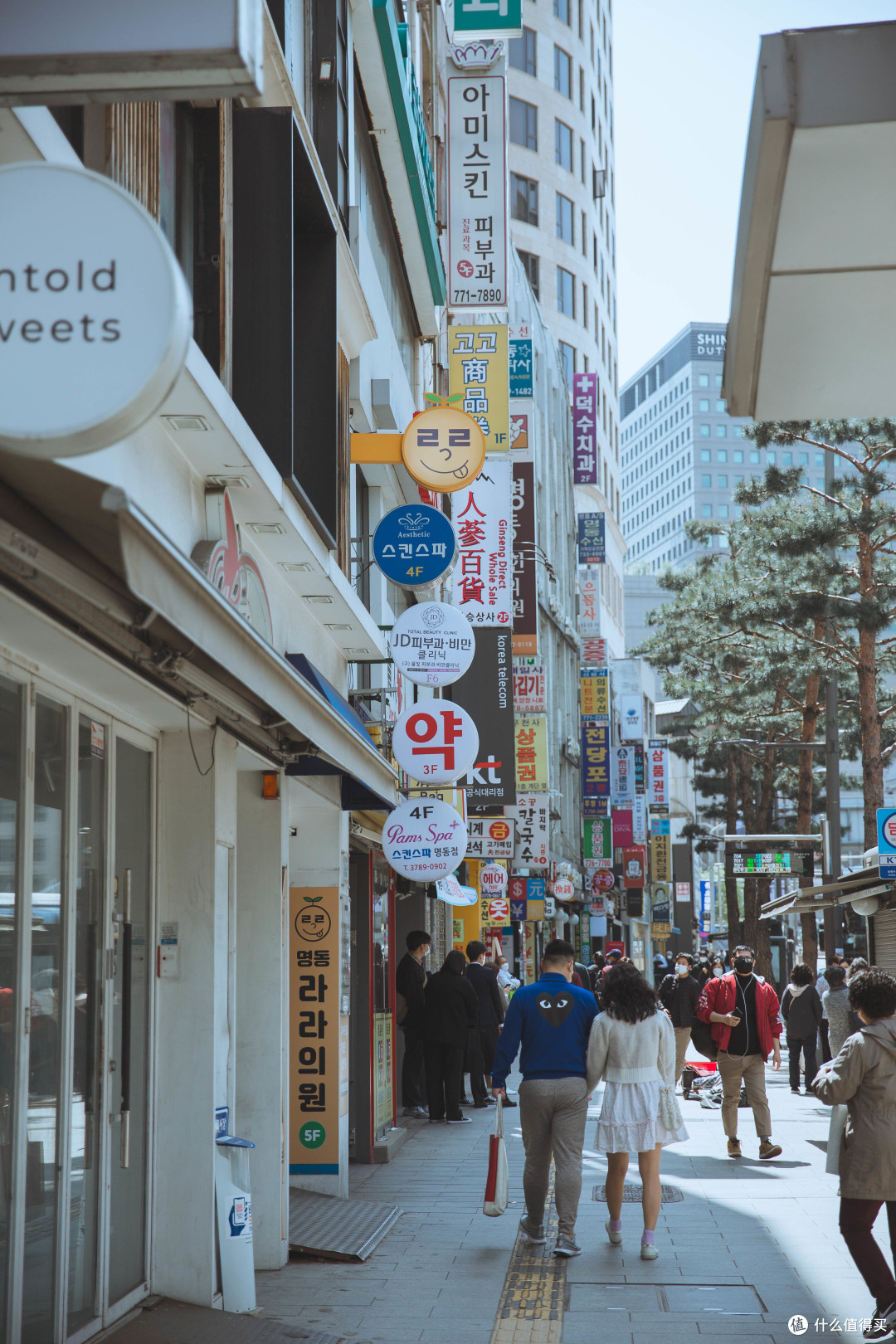 新世界百货前的广场,郁金香开的正旺林荫道属于江南,匆匆路过弘大的