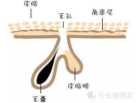 男士护肤基本款护肤品！