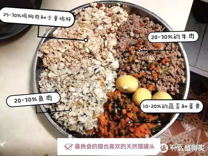 猫饭自制指南，家长必备！