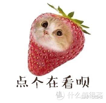 猫饭自制指南，家长必备！