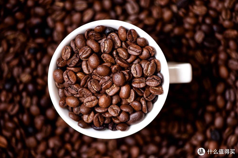 用它10分钟即可喝上冷萃咖啡，东菱乐萃杯值得买吗？