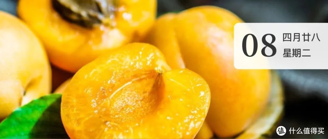 风物日历6.8｜种植百年超高甜度的崂山蜜杏，现在正上市